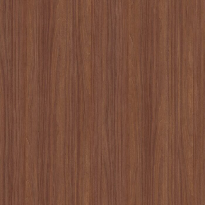 American Elm - 454