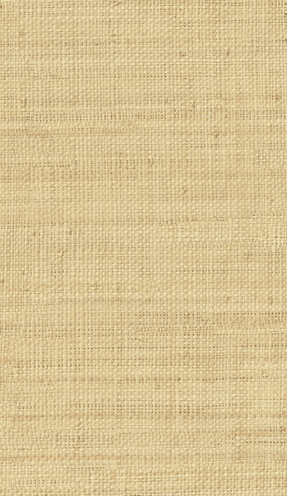 Natural Jute Weave - 2047